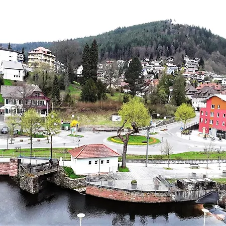 Apartment Enzblick Bad Wildbad
