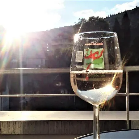 Enzblick バート・ヴィルトバート