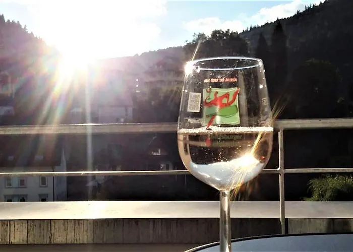 Enzblick Bad Wildbad